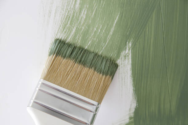 Mold Remediation for Rental Properties in North Aurora, IL
