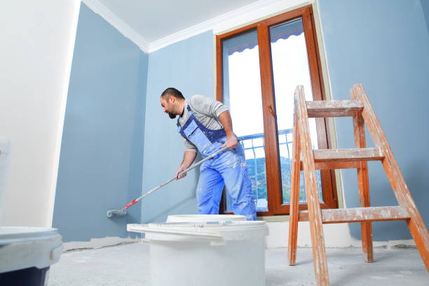 Best Industrial Mold Remediation  in North Aurora, IL