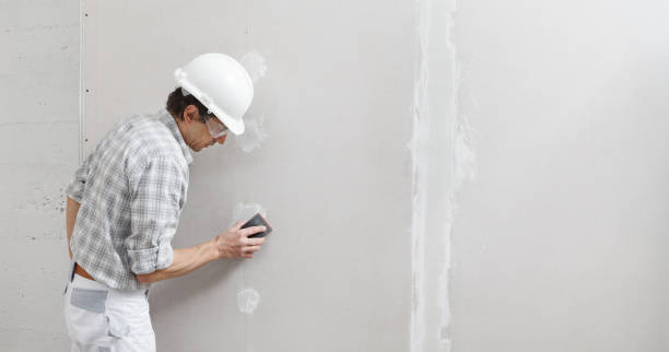 Best Comprehensive Air Testing for Mold Contaminants  in North Aurora, IL