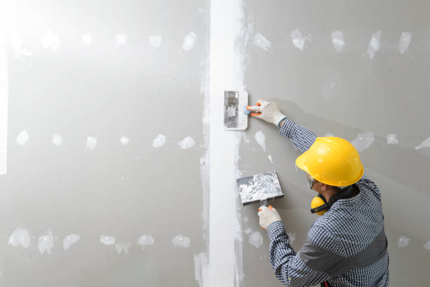 Best Mold Removal for HVAC Installations  in North Aurora, IL