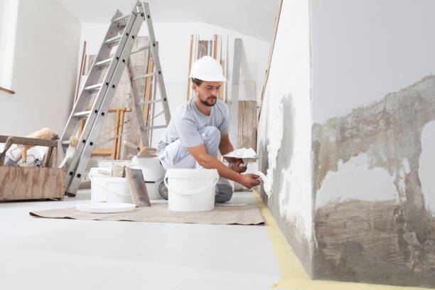 Best Commercial Mold Inspection  in North Aurora, IL
