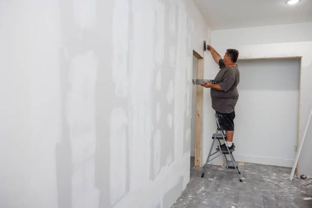 Best Emergency Mold Remediation  in North Aurora, IL