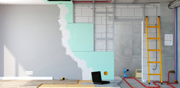 Best Real Estate Mold Inspection  in North Aurora, IL