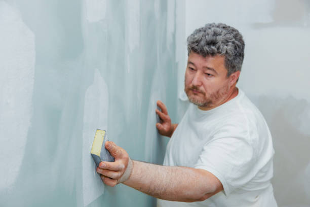 Best Air Quality Testing for Mold Spores  in North Aurora, IL