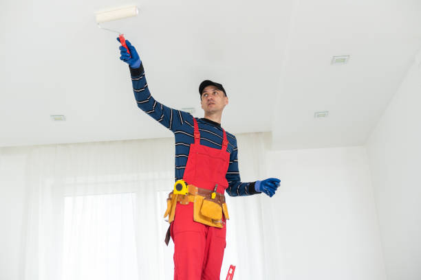  North Aurora, IL Mold Removal Pros