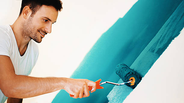 North Aurora, IL Mold Removal Company