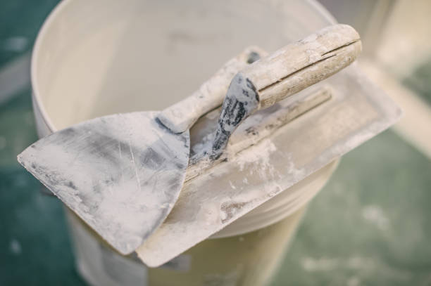 Best Attic Mold Removal  in North Aurora, IL