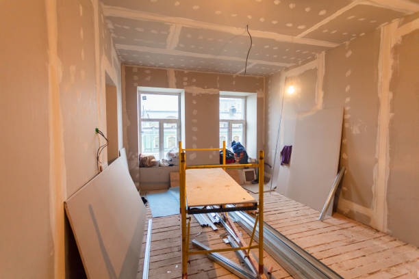 Best Biohazard Mold Removal  in North Aurora, IL