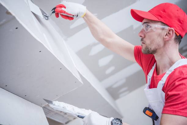 Best Dehumidification Services  in North Aurora, IL
